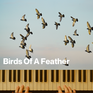 Birds Of A Feather (MP3)